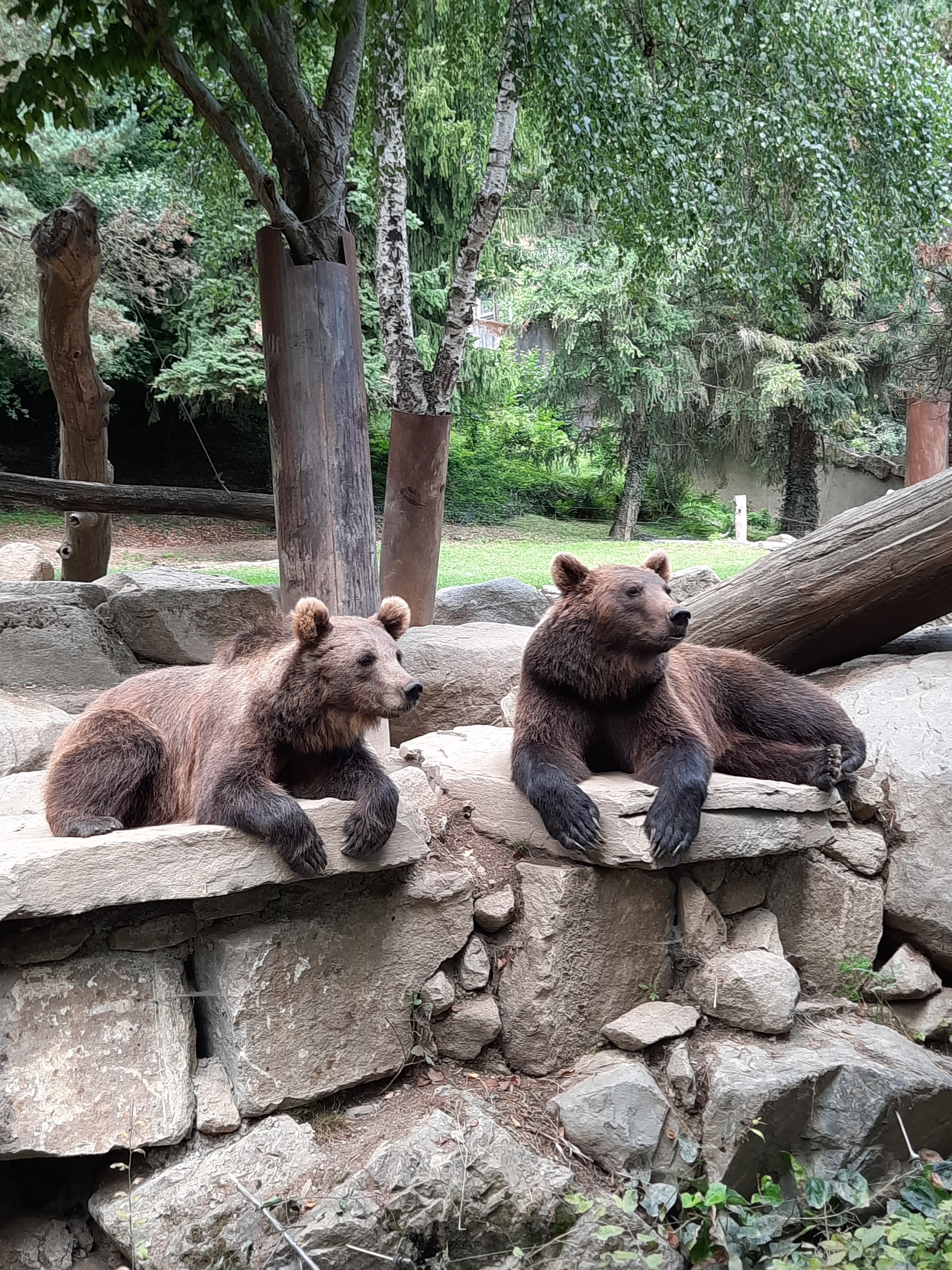 Photo n° 2 de l'avis de Michel.o fait le 29/07/2021 à 22:08