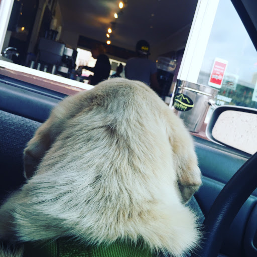 Coffee Shop «Daily Rise Expresso», reviews and photos, 2865 Washington Blvd, Ogden, UT 84401, USA