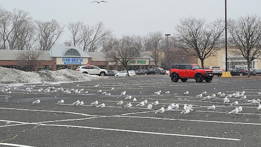 Shopping Mall «Riverdale Shops», reviews and photos, 935 Riverdale St, West Springfield, MA 01089, USA