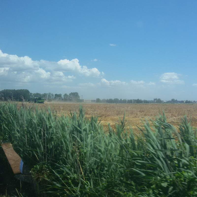 Azienda Agricola Brutti Società Semplice