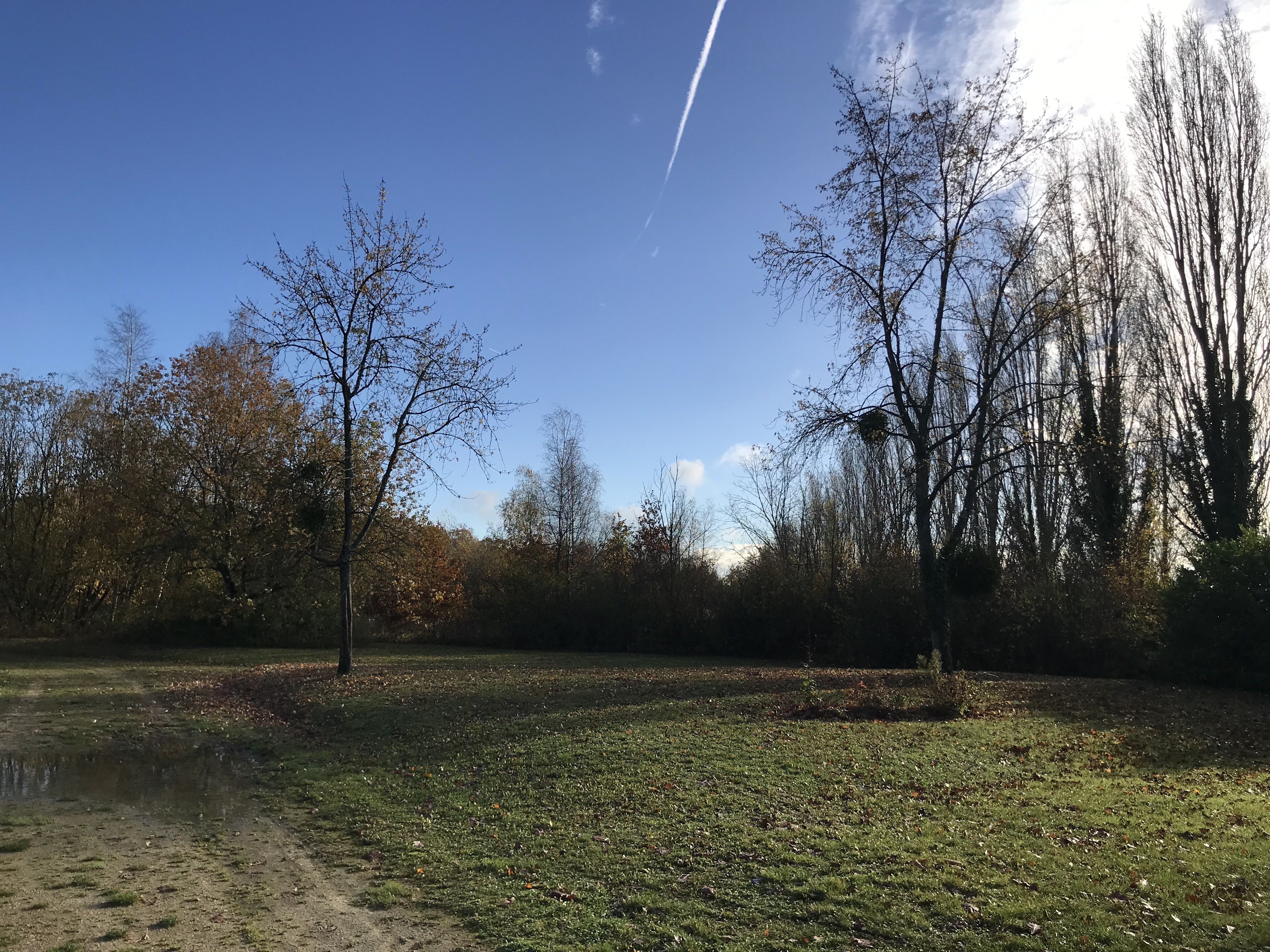 Photo n° 6 de l'avis de Tania.a fait le 26/11/2023 à 15:07
