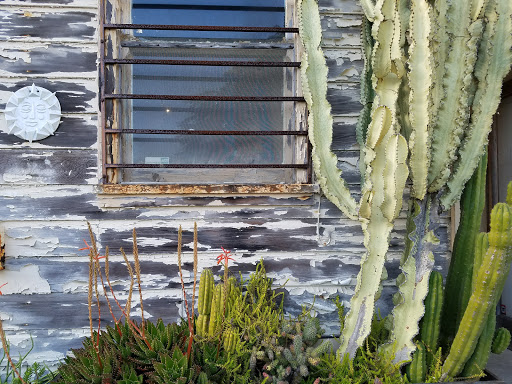 Gift Shop «GENERAL STORE», reviews and photos, 4035 Judah St, San Francisco, CA 94122, USA