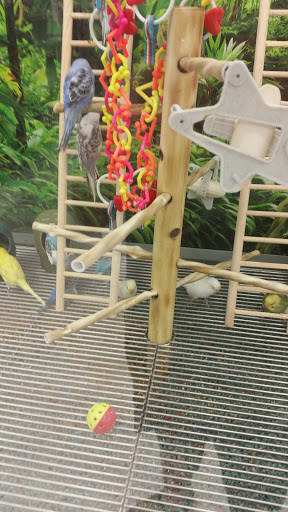 Pet Supply Store «Petco Animal Supplies», reviews and photos, 163 Highland Ave, Needham, MA 02494, USA