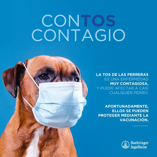 Clínica Veterinaria Orcasitas en Madrid