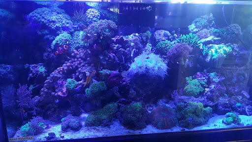 Pet Store «Pet World», reviews and photos, 891 Harriman Pl, San Bernardino, CA 92408, USA