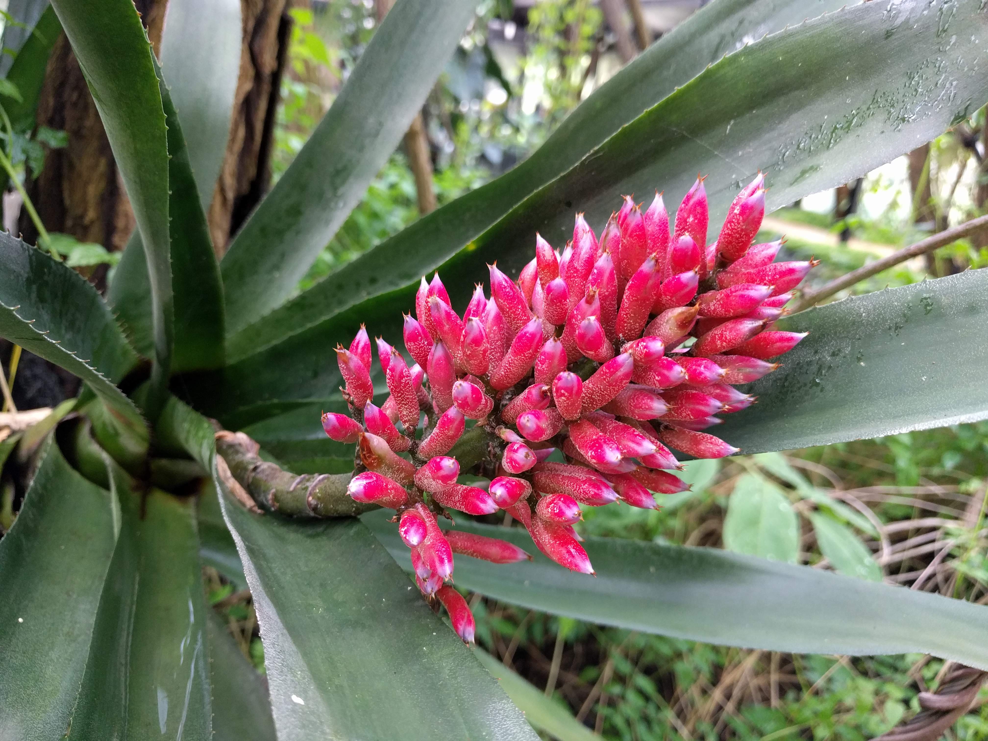 Photo n° 1 de l'avis de L'hippopote. fait le 21/04/2019 à 08:06
