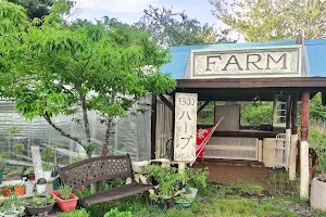 Earth Embassy - Solar Cafe and Farm image