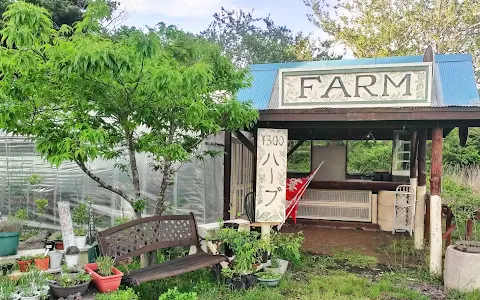 Earth Embassy - Solar Cafe and Farm image