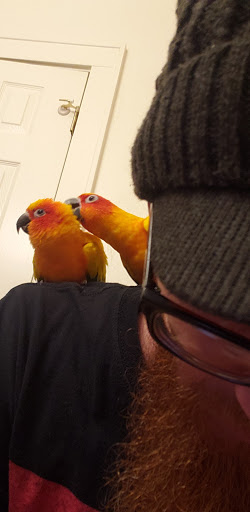 Pet Supply Store «Petco Animal Supplies», reviews and photos, 3000 Gateway St #220, Springfield, OR 97477, USA