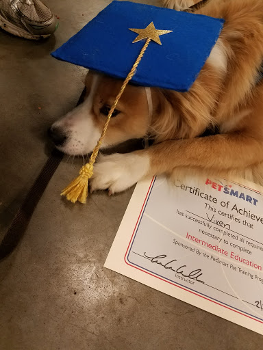 Pet Supply Store «PetSmart», reviews and photos, 1110 Hospitality Dr, Rock Hill, SC 29730, USA