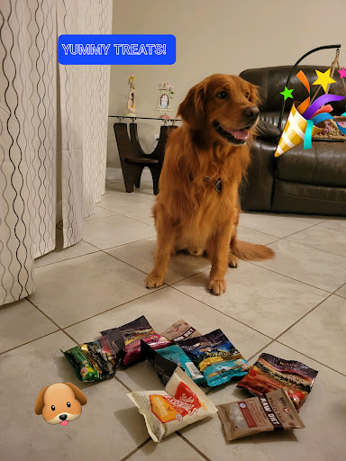 Pet Supply Store «Munchies Natural Pet Foods», reviews and photos, 1722 Bruce B Downs Blvd, Wesley Chapel, FL 33543, USA