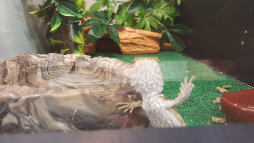 Pet Supply Store «Pet Supplies Plus», reviews and photos, 946 Joliet St, Dyer, IN 46311, USA