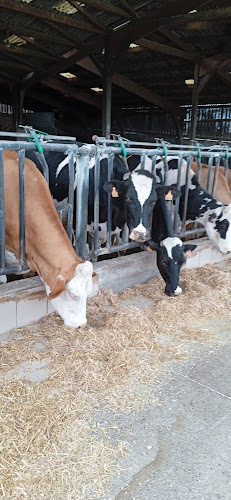 Ferme de Prouzic à Valentine