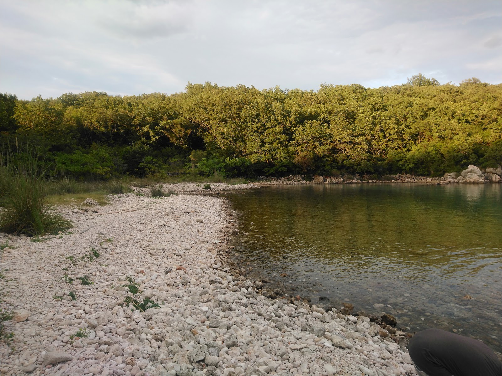 Photo of Petrina beach with partly clean level of cleanliness