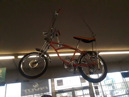Bicycle Store «Bay Area Cycling -Pasadena», reviews and photos, 2049 S Richey St, Pasadena, TX 77502, USA