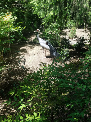 Zoo «Central Park Zoo», reviews and photos, E 64th St & 5th Ave, New York, NY 10021, USA