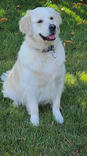 Pet Supply Store «Petco Animal Supplies», reviews and photos, 309 Worth Ave #123, Stafford, VA 22554, USA