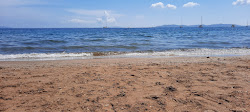 Foto von beach of Pesquiers mit geräumige küstenlinie