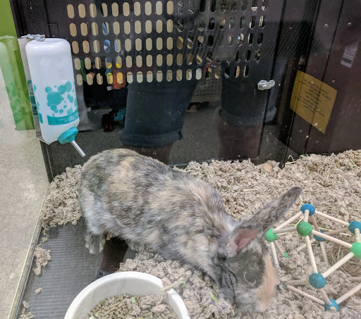 Pet Supply Store «PetSmart», reviews and photos, 2 Brick Plaza, Brick, NJ 08723, USA