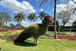 Jardines de México image