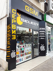 SELECT GSM SERVICE