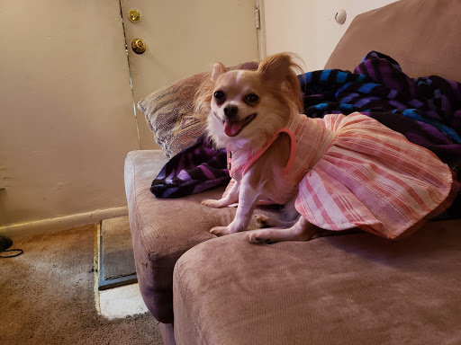 Pet Supply Store «Petco Animal Supplies», reviews and photos, 4491 Kirkwood Hwy, Wilmington, DE 19808, USA