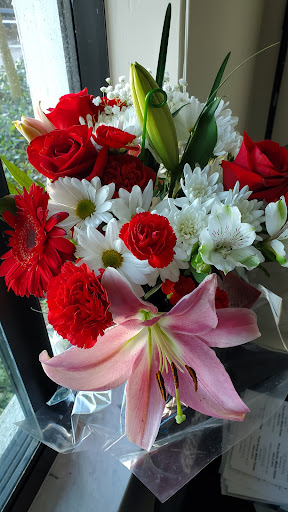 Supermarket «Publix Super Market at Coconut Creek Plaza», reviews and photos, 4849 Coconut Creek Pkwy, Coconut Creek, FL 33063, USA