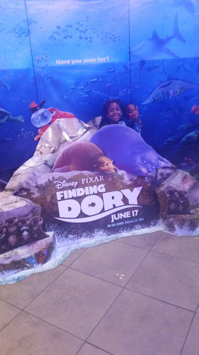 Movie Theater «Regal Cinemas Broward Stadium 12 & RPX», reviews and photos, 8000 W Broward Blvd, Plantation, FL 33388, USA