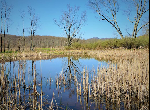 State Park «Goosepond Mountain State Park», reviews and photos, 1198 New York 17M, Chester, NY 10918, USA