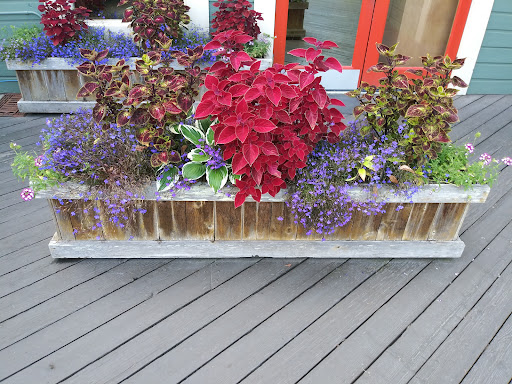 Coffee Shop «San Juan Coffee Roasting Co», reviews and photos, 18 Cannery Lndg, Friday Harbor, WA 98250, USA