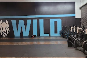 CrossFit Wild image