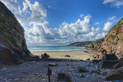 Petit Port Beach'in fotoğrafı vahşi alan