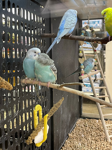 Pet Supply Store «PetSmart», reviews and photos, 1140 W Elliot Rd, Tempe, AZ 85284, USA