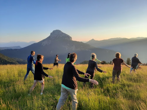 Tai Chi Chuan-Qi Gong Meylan à Meylan