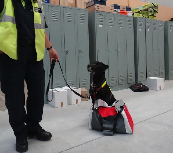 NZ Detector Dogs - Waitakere
