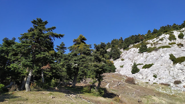 Αριθμός τηλεφώνου Δασόκτημα Τατοΐου
