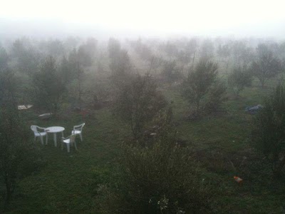 Photos of ferme d'olives