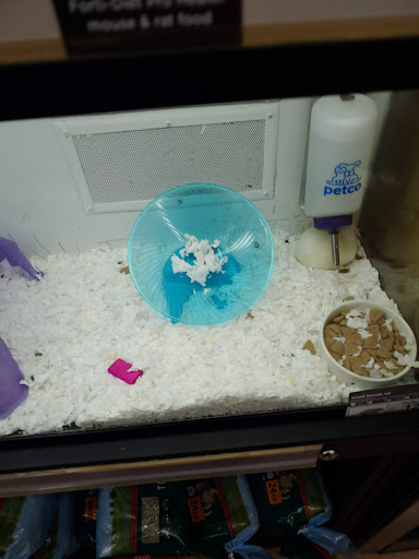 Pet Supply Store «Petco Animal Supplies», reviews and photos, 22000 Dulles Retail Plaza #110, Sterling, VA 20166, USA