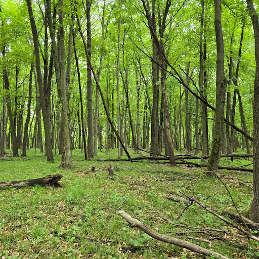 Alternate Trailhead Lake Lansing Park North