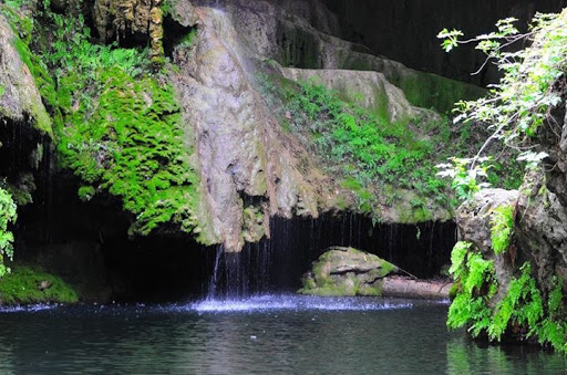 Non-Profit Organization «Westcave Outdoor Discovery Center», reviews and photos, 24814 Hamilton Pool Rd, Round Mountain, TX 78663, USA
