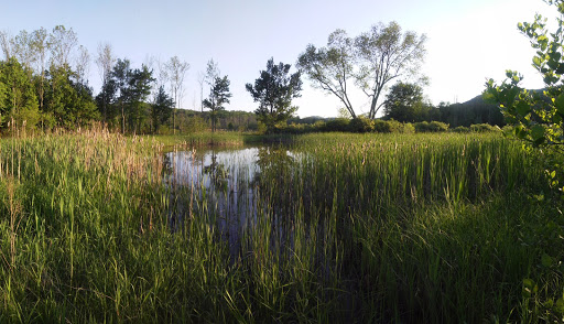 State Park «Goosepond Mountain State Park», reviews and photos, 1198 New York 17M, Chester, NY 10918, USA