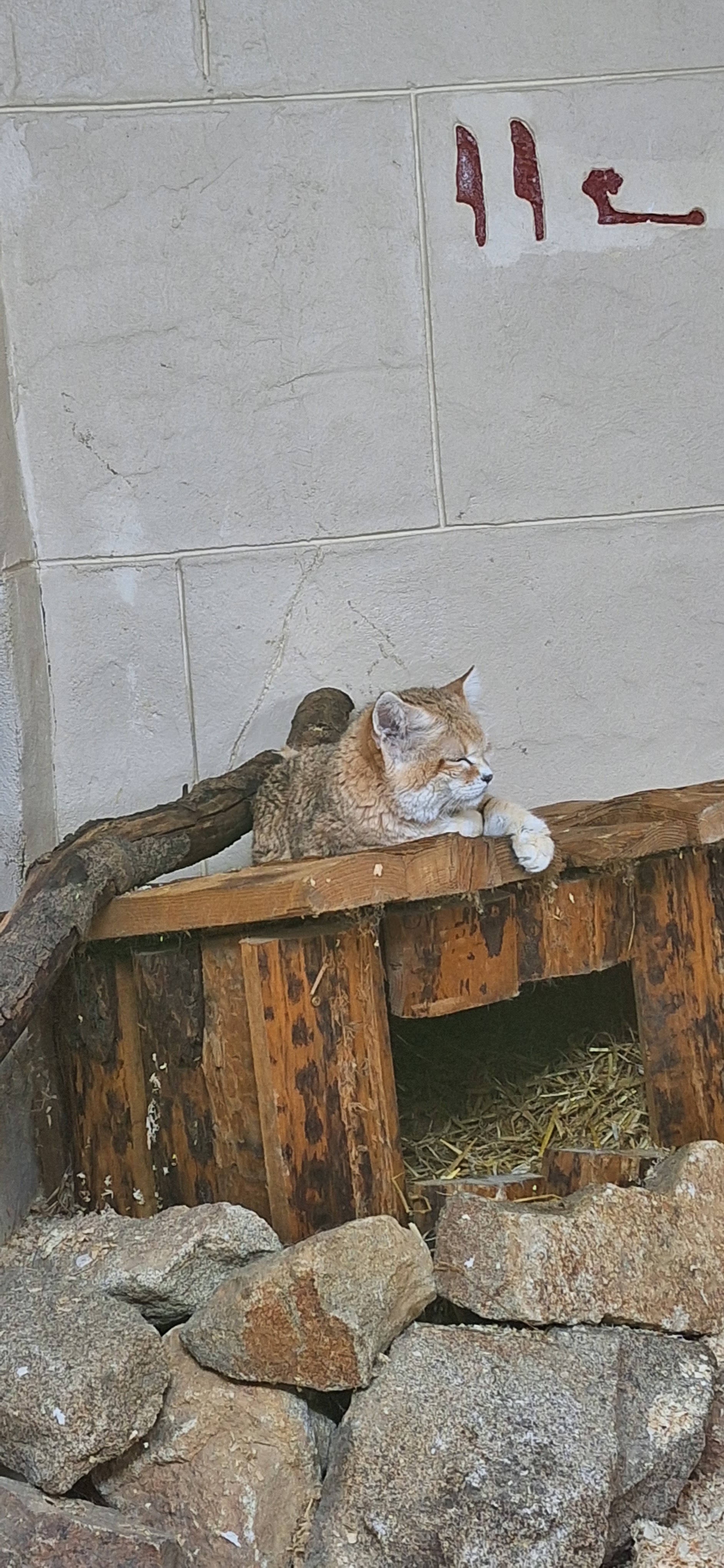 Photo n° 16 de l'avis de Maud. fait le 26/12/2023 à 19:29