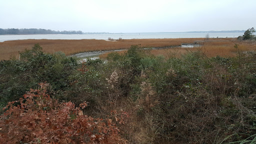 Golf Club «Riverfront Golf Club», reviews and photos, 5200 River Club Dr, Suffolk, VA 23435, USA