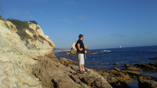 Tide Pools image