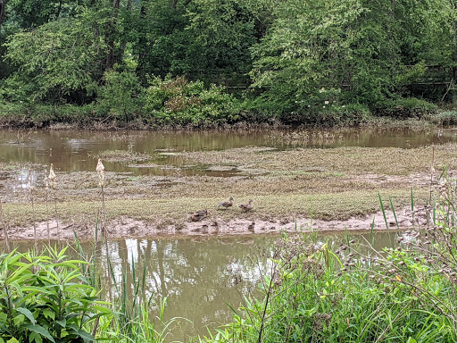 Nature Preserve «Chattahoochee Nature Center», reviews and photos, 9135 Willeo Rd, Roswell, GA 30075, USA