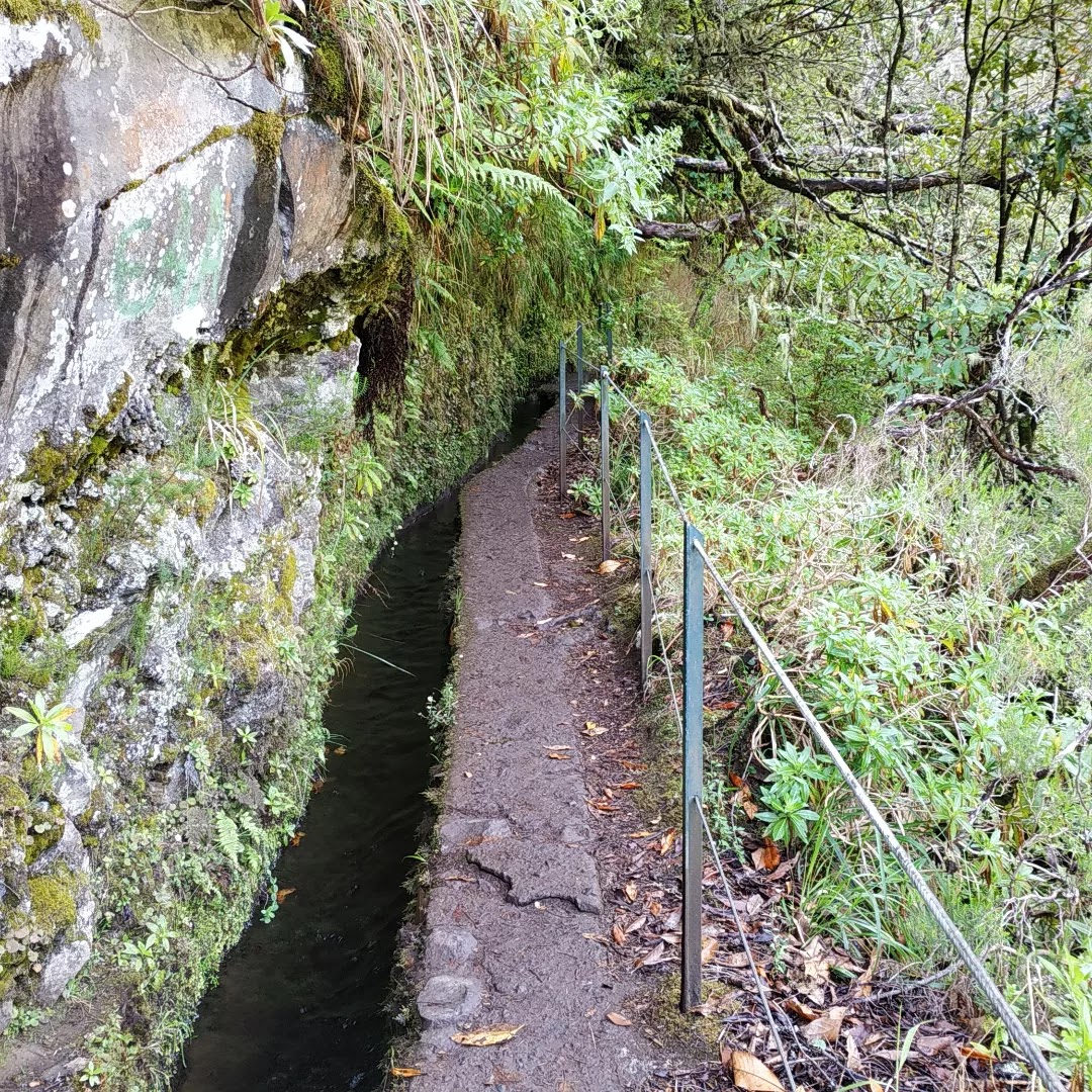 Photo n° 8 de l'avis de Helene.o fait le 23/05/2022 à 18:49