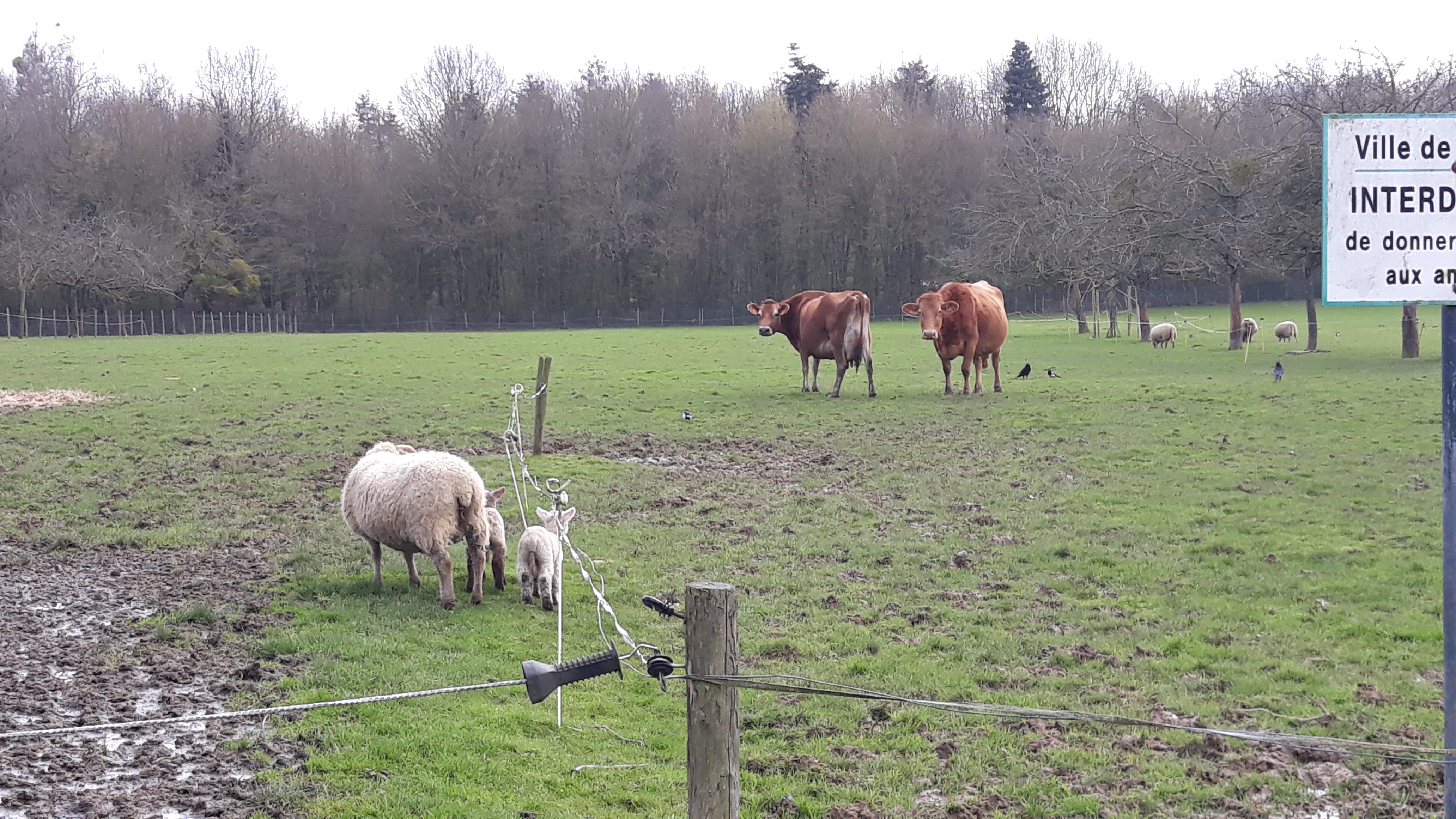 Photo n° 6 de l'avis de Maëva.r fait le 07/03/2020 à 15:52