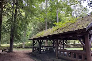 The Laurels Picnic Area image