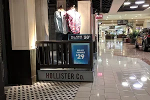 Hollister Co. image