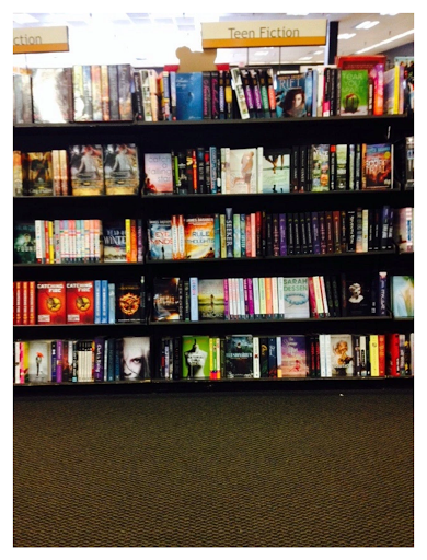 Book Store «Books-A-Million», reviews and photos, 1891 Southpark Blvd, Colonial Heights, VA 23834, USA